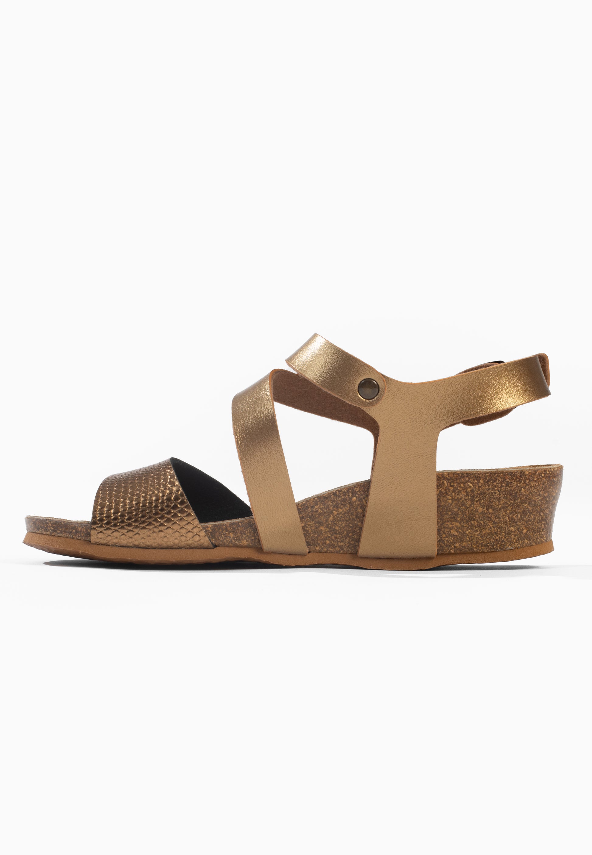 Sandales Lamezia Compensées et semi-compensées Bronze